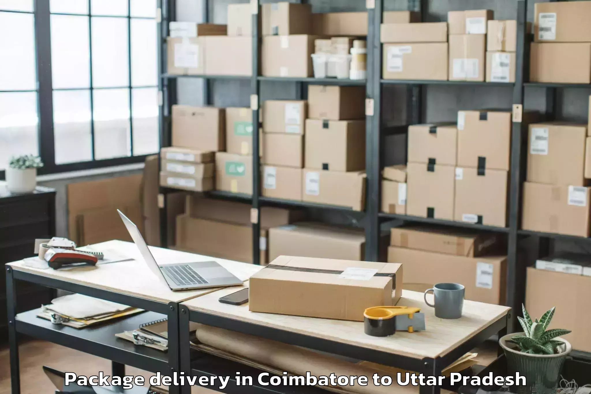 Leading Coimbatore to Glocal University Saharanpur Package Delivery Provider